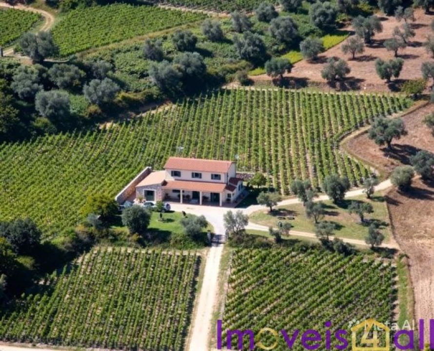 Quinta T1 para Venda em Vila Seca e Bem da Fé Foto 17