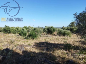 Terreno para Venda em São Bartolomeu de Messines