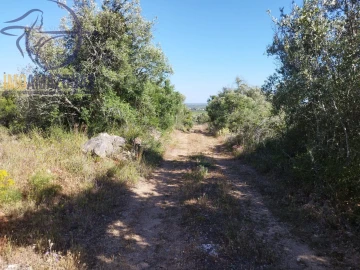 Terreno para Venda em São Bartolomeu de Messines