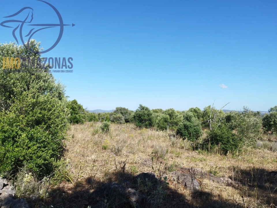 Terreno para Venda em São Bartolomeu de Messines Foto 6