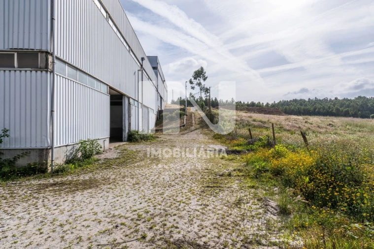 Loja para Venda em Ribeirão Foto 29