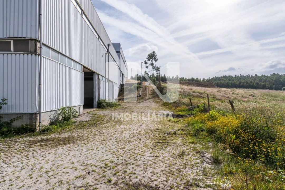 Loja para Venda em Ribeirão Foto 29