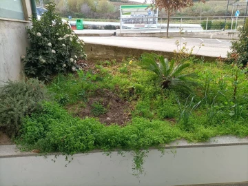 Loja para Arrendamento em Alijo