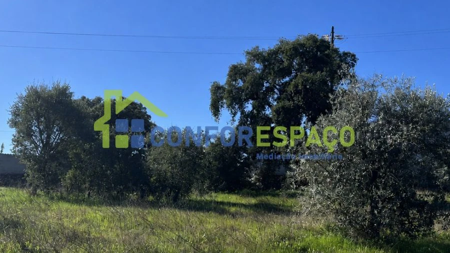 Terreno para Venda em Escalos de Cima e Lousa