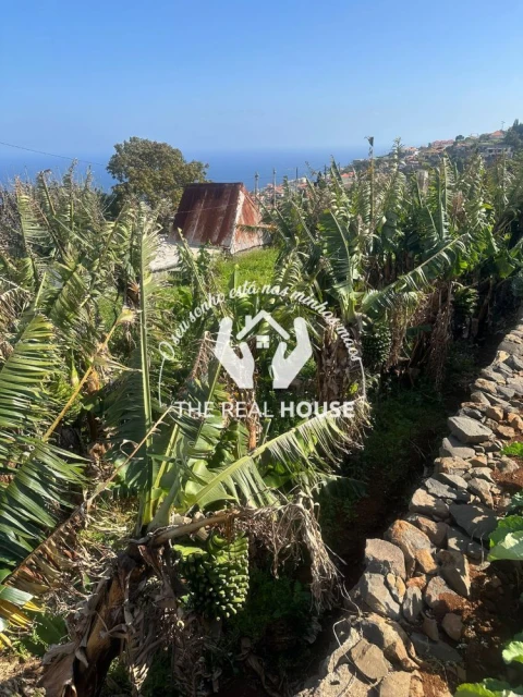 Terreno para Arrendamento em Agua de Pena