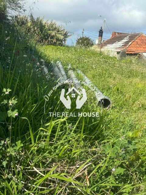 Terreno para Arrendamento em Agua de Pena