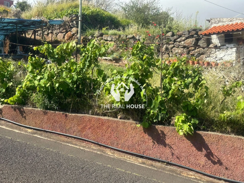 Terreno para Arrendamento em Agua de Pena Foto 5