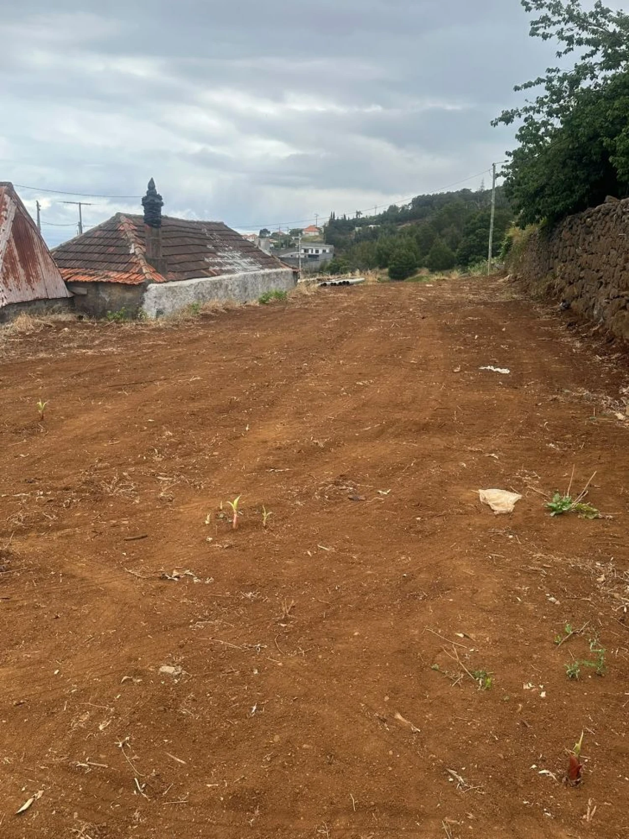 Terreno para Arrendamento em Agua de Pena Planta 8