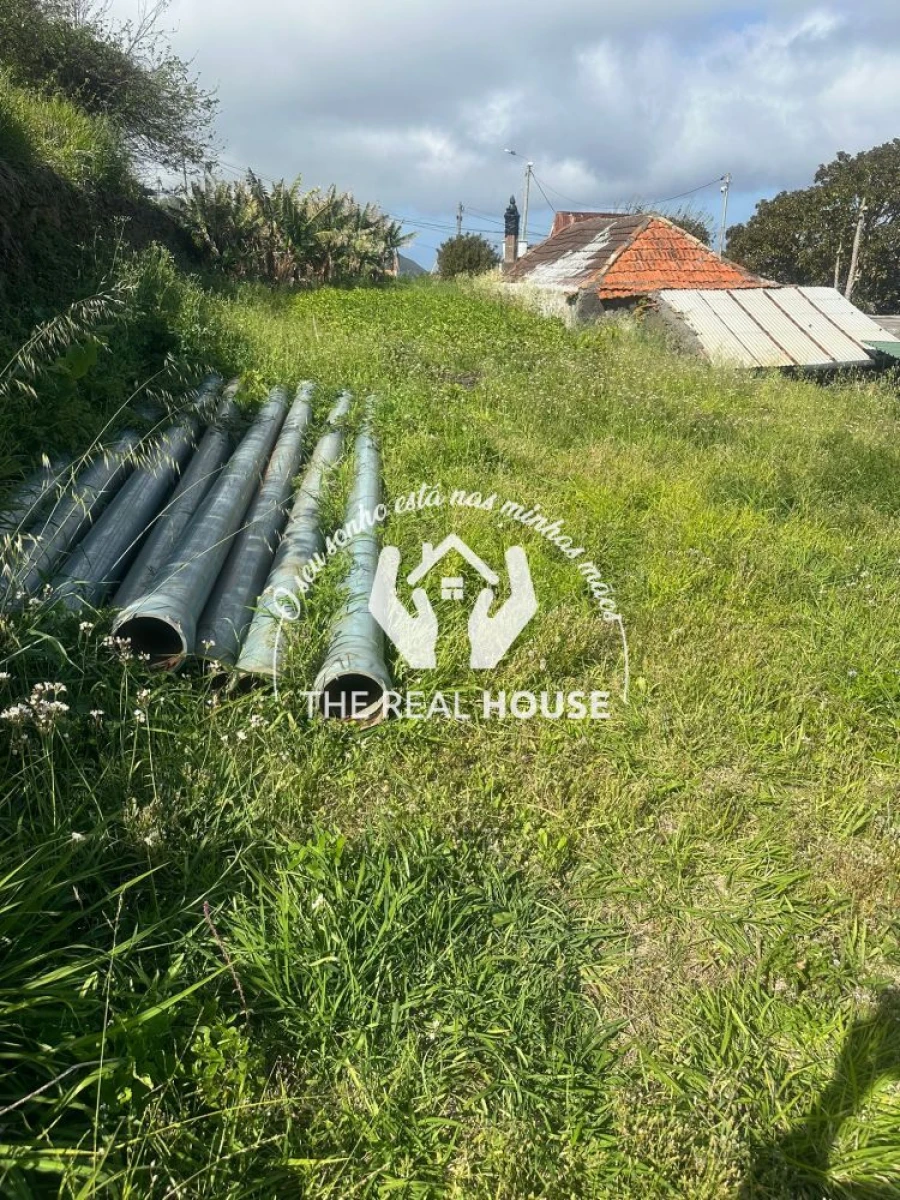 Terreno para Arrendamento em Agua de Pena Foto 7