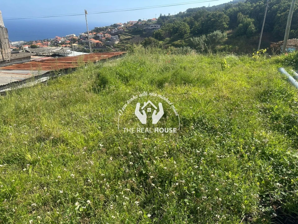 Terreno para Arrendamento em Agua de Pena Foto 1