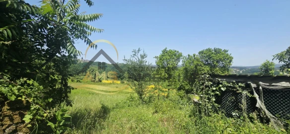 Quinta T3 para Venda em Golães