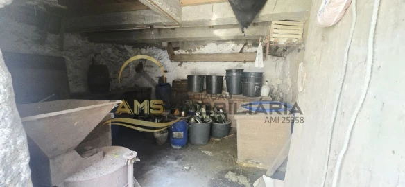 Quinta T3 para Venda em Golães