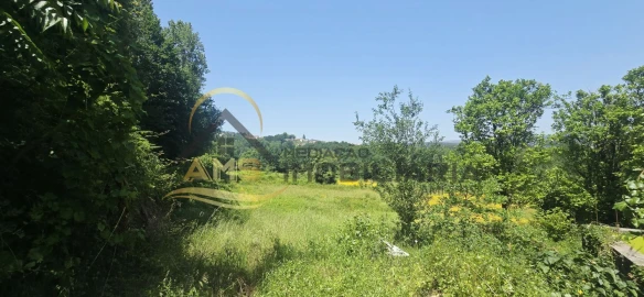 Quinta T3 para Venda em Golães