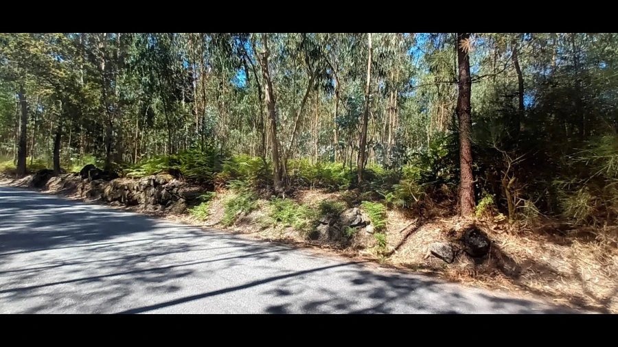 Terreno para Venda em Sopo