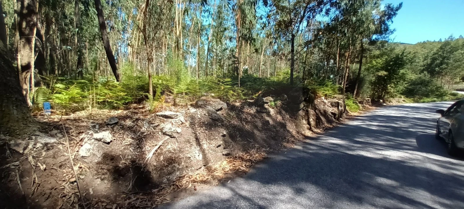 Terreno para Venda em Sopo Foto 5
