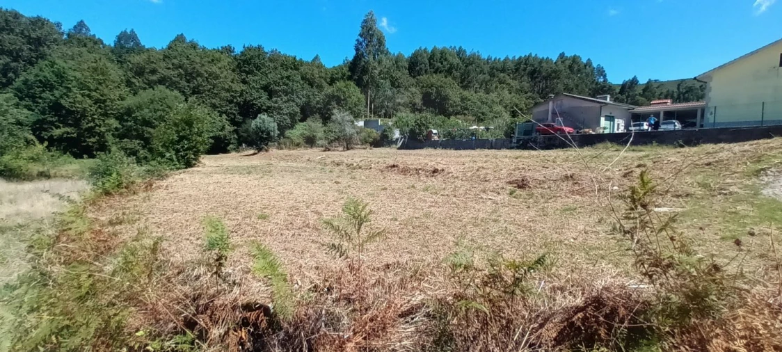 Terreno para Venda em Sopo Foto 4