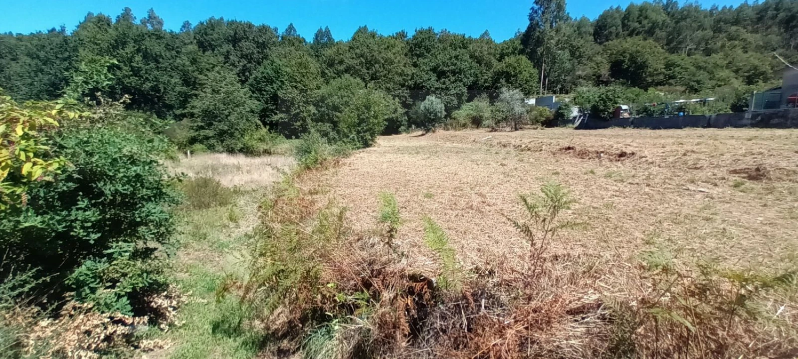 Terreno para Venda em Sopo Foto 3