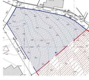 Terreno para Venda em Castelões