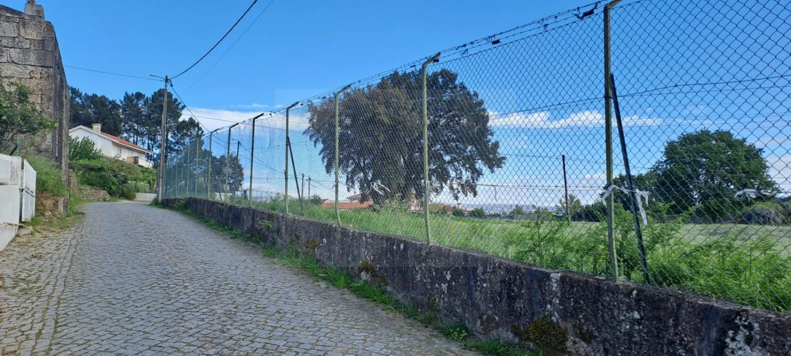 Terreno para Venda em Castelões Foto 5