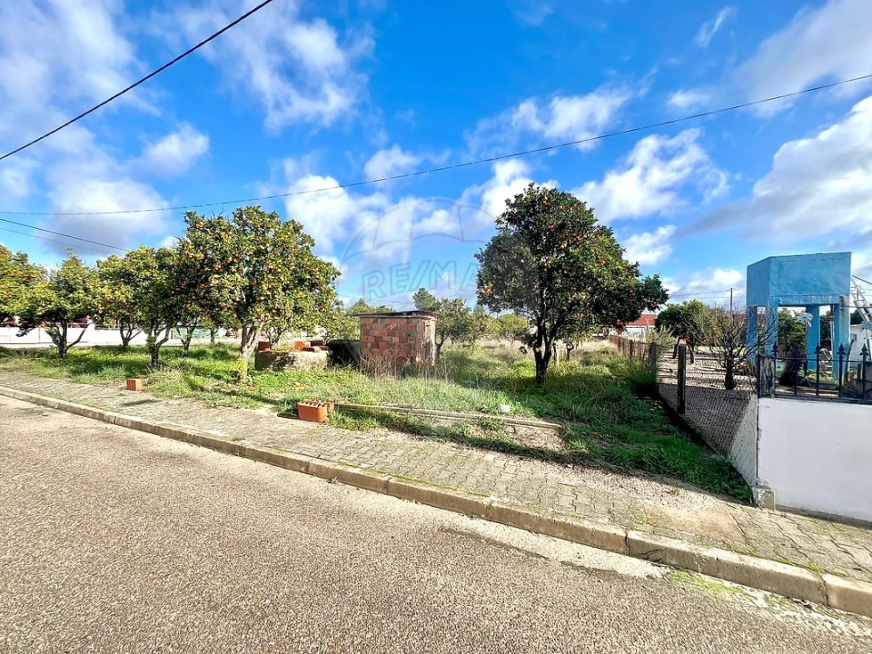 Terreno para Venda em Torrão Foto 2