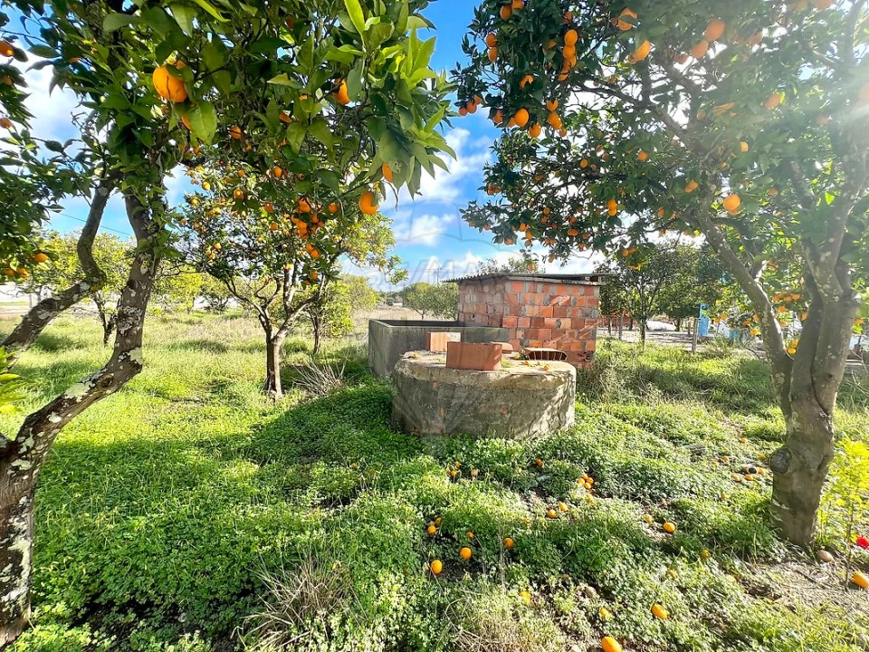Terreno para Venda em Torrão Foto 5
