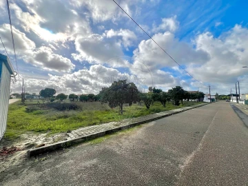 Terreno para Venda em Torrão