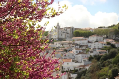 Armazém para Venda em Alenquer (Santo Estêvão e Triana)