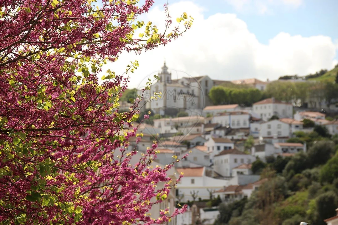 Armazém para Venda em Alenquer (Santo Estêvão e Triana) Foto 3