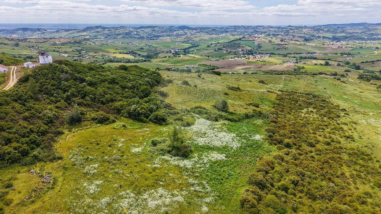 Moradia T1 para Venda em Arruda dos Vinhos Foto 15