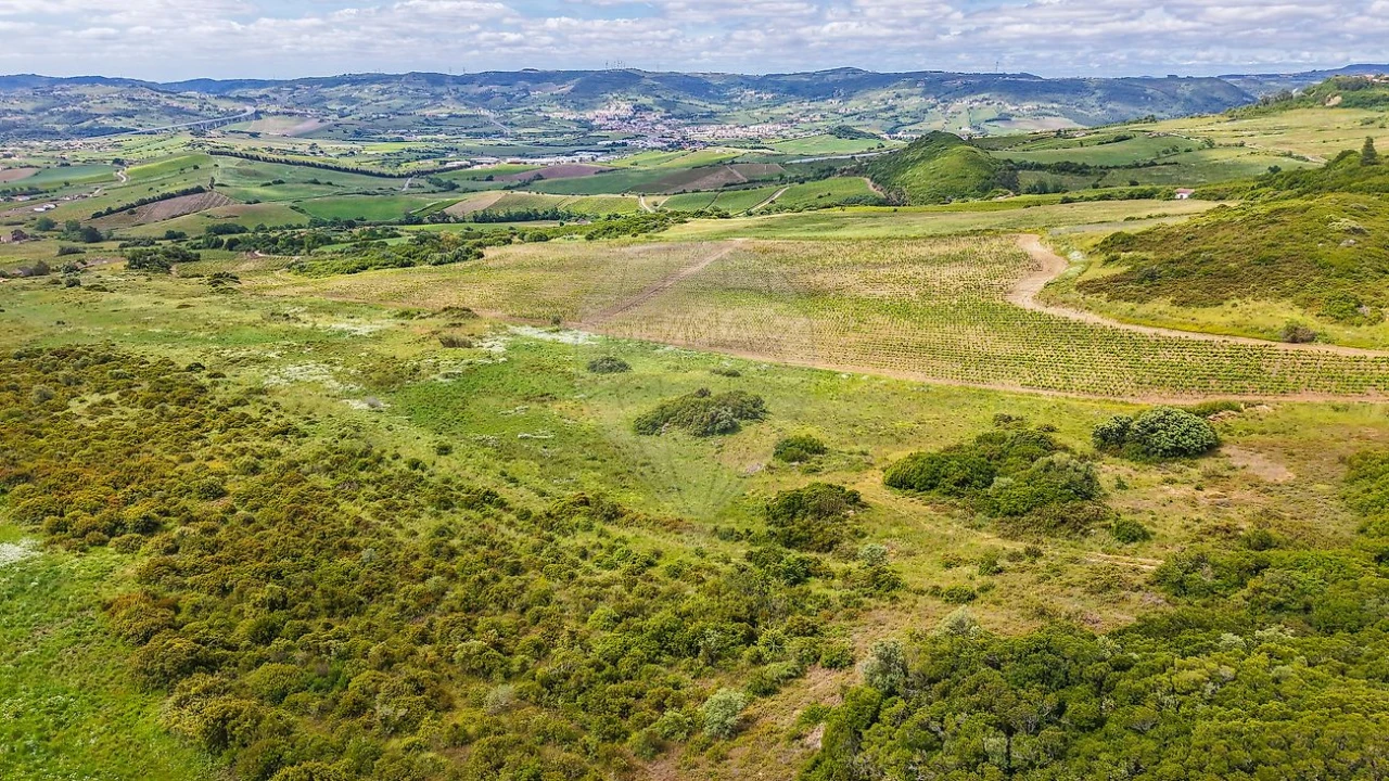 Moradia T1 para Venda em Arruda dos Vinhos Foto 17