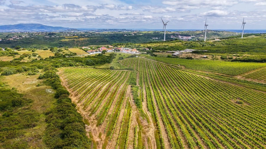 Moradia T1 para Venda em Arruda dos Vinhos Foto 18