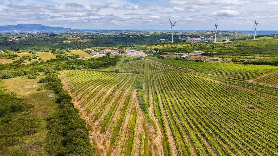 Moradia T1 para Venda em Arruda dos Vinhos