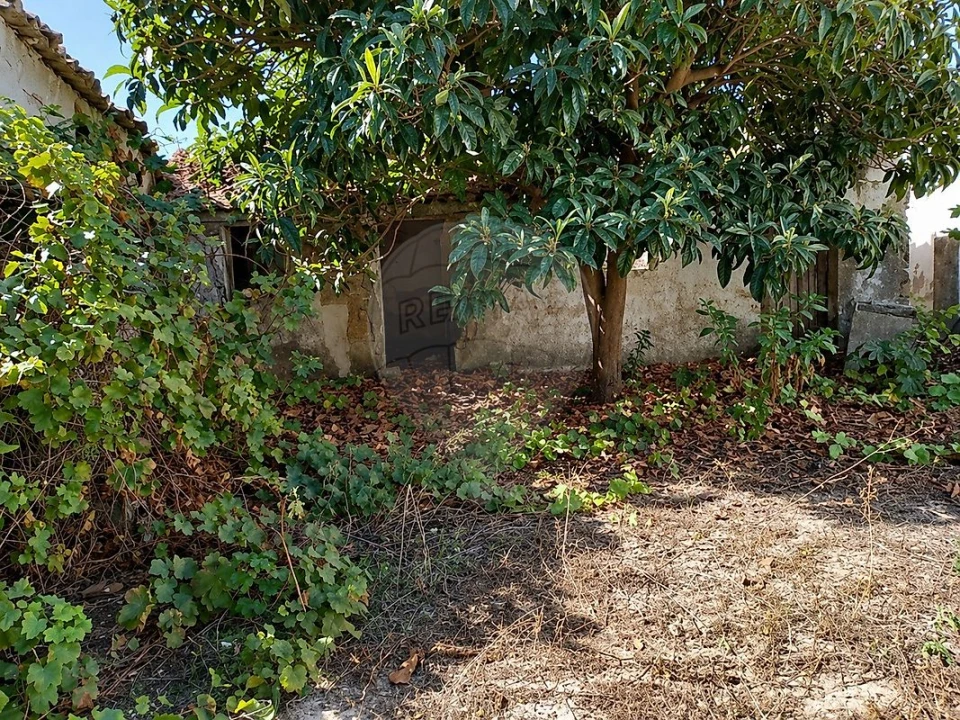 Terreno para Venda em Samora Correia Foto 5