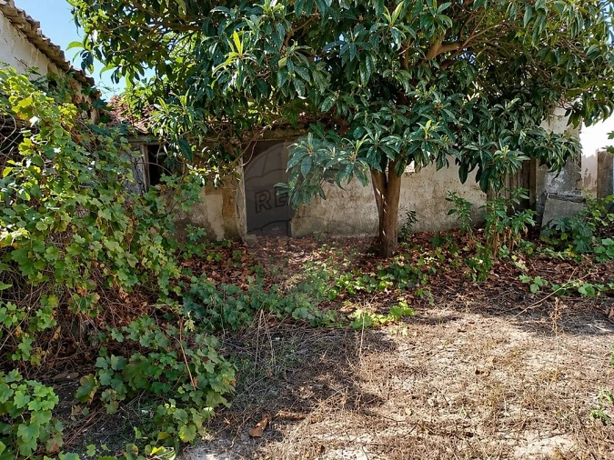 Terreno para Venda em Samora Correia Foto 5