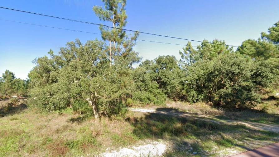 Terreno para Venda em Salvaterra de Magos e Foros de Salvaterra Foto 2