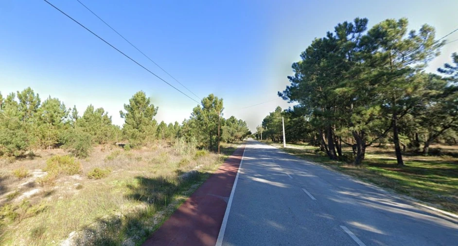 Terreno para Venda em Salvaterra de Magos e Foros de Salvaterra Foto 3