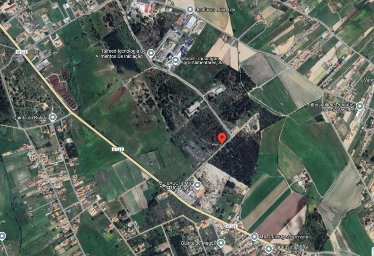 Terreno para Venda em Salvaterra de Magos e Foros de Salvaterra Foto 8