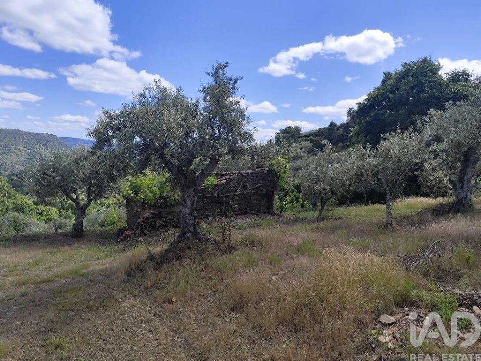 Terreno para Venda em Freixo de Espada a Cinta e Mazouco Foto 21