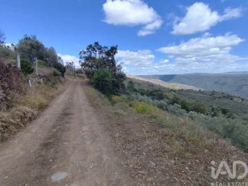 Terreno para Venda em Freixo de Espada a Cinta e Mazouco