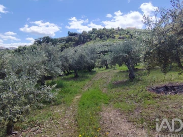 Terreno para Venda em Freixo de Espada a Cinta e Mazouco