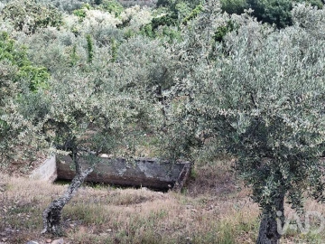 Terreno para Venda em Freixo de Espada a Cinta e Mazouco