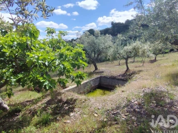 Terreno para Venda em Freixo de Espada a Cinta e Mazouco