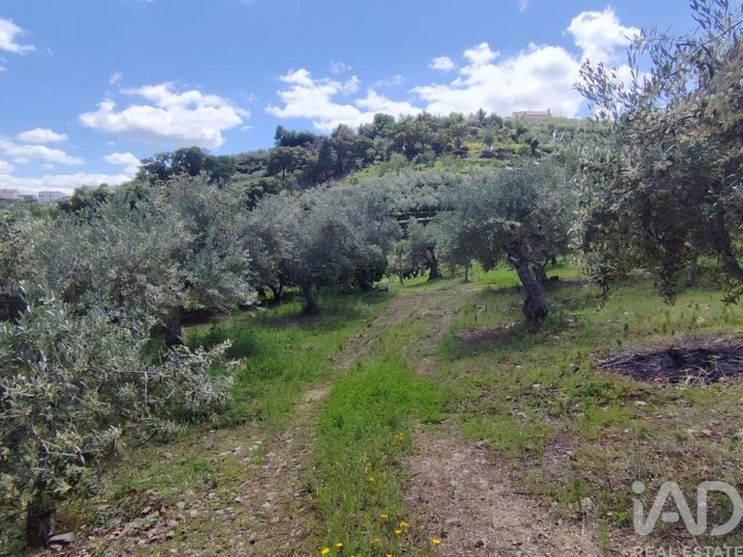 Terreno para Venda em Freixo de Espada a Cinta e Mazouco Foto 19