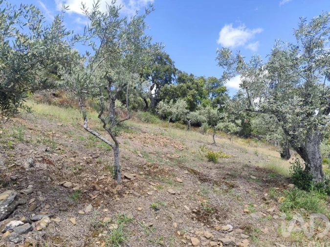 Terreno para Venda em Freixo de Espada a Cinta e Mazouco Foto 10