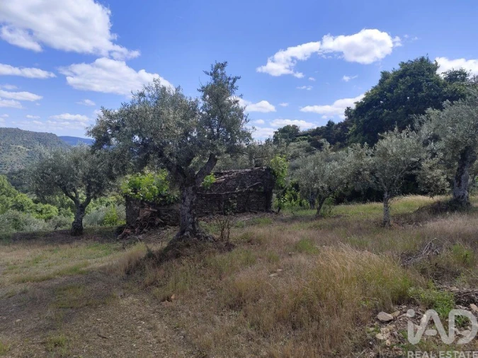 Terreno para Venda em Freixo de Espada a Cinta e Mazouco Foto 20