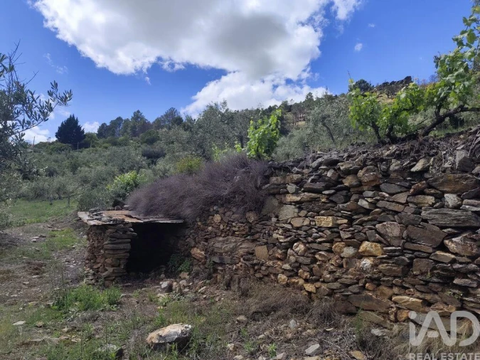 Terreno para Venda em Freixo de Espada a Cinta e Mazouco Foto 6