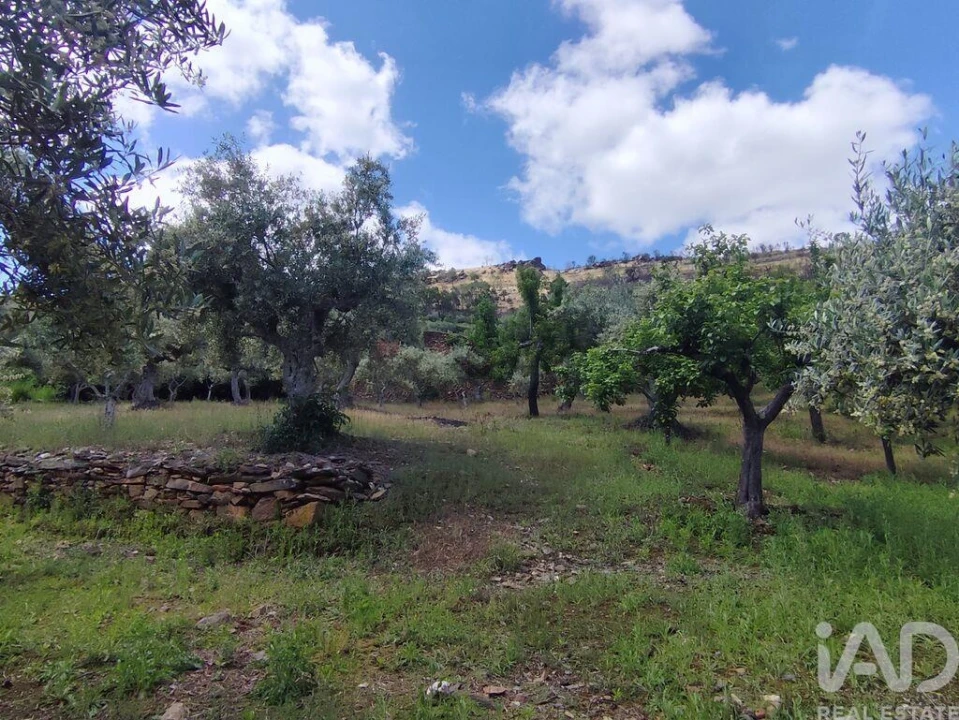 Terreno para Venda em Freixo de Espada a Cinta e Mazouco Foto 18