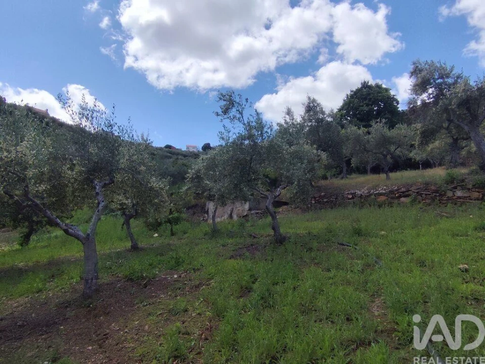 Terreno para Venda em Freixo de Espada a Cinta e Mazouco Foto 17