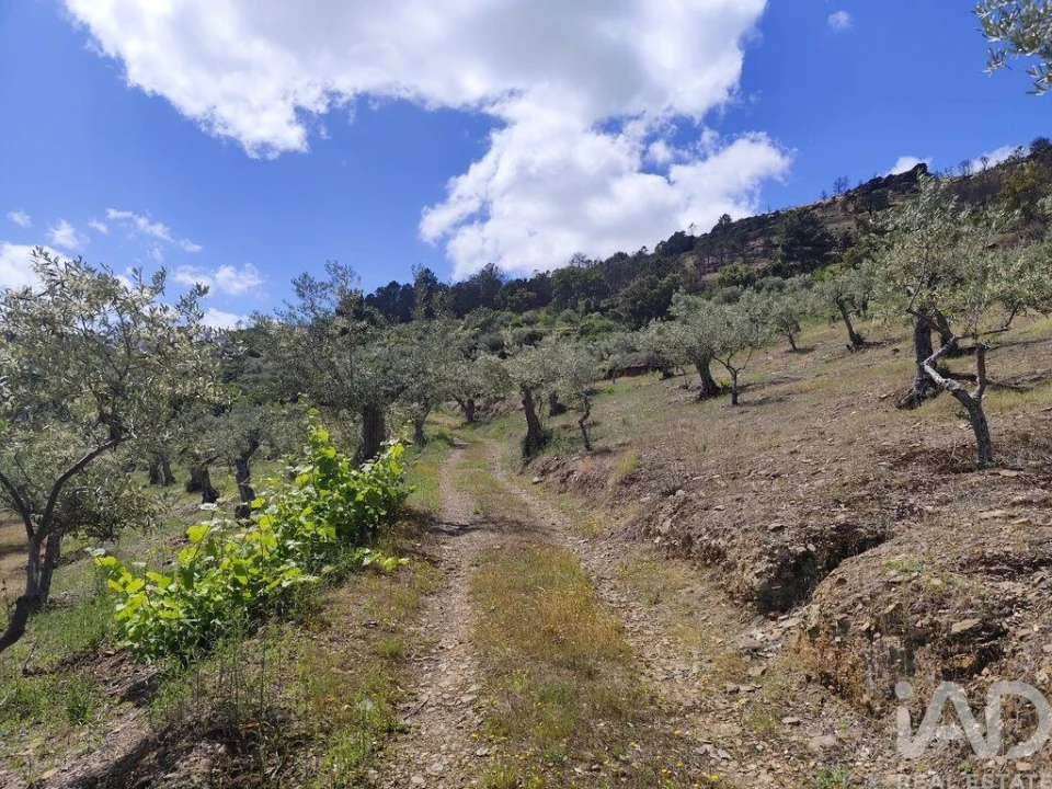 Terreno para Venda em Freixo de Espada a Cinta e Mazouco Foto 11
