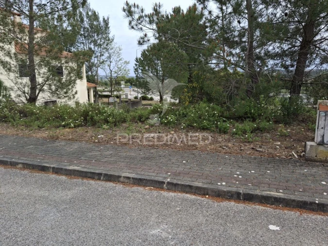 Terreno para Venda em Constancia Foto 6